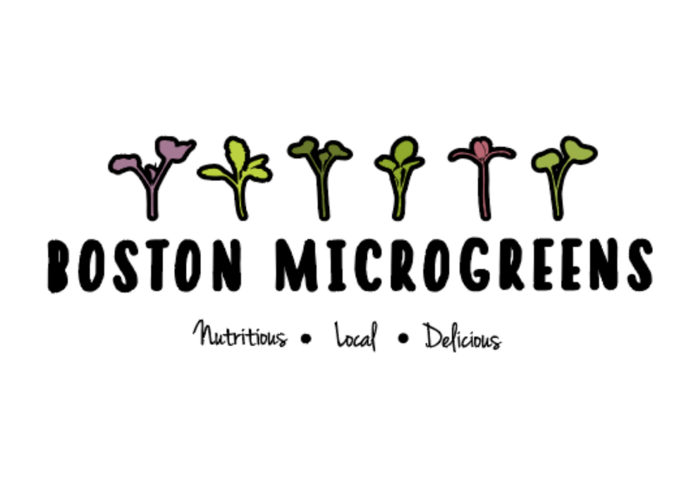 Tenant Spotlight: Boston Microgreens